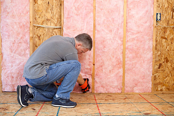 Best Residential Insulation in Cedar Park, TX